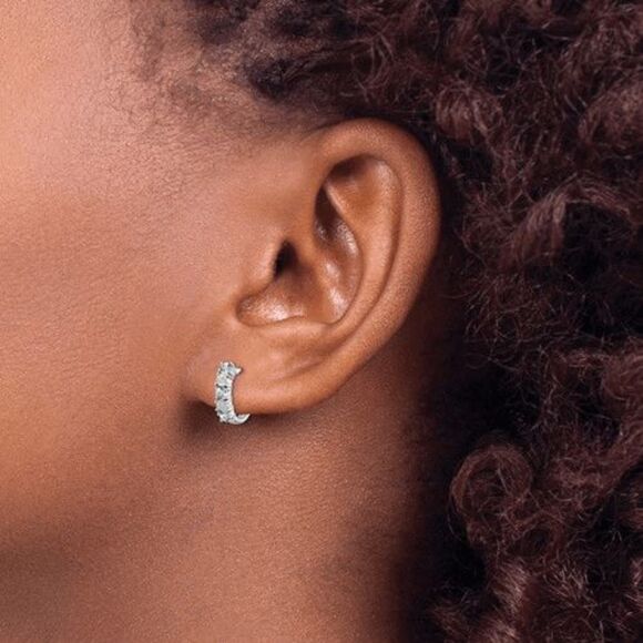 Sterling Silver Rhodium-plated Aquamarine and Diamond Earrings - Picture 4 of 4